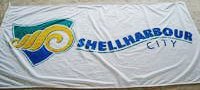 [Shellharbour City Council flag]