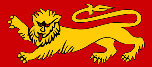 [Detail of lion from NSW flag]