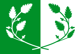 [Flag of Eeklo]