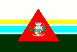 [Flag of Carneirinho, Minas Gerais