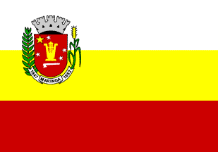 [Flag of Maringá, PR (Brazil)]