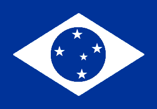 [Fans Flag of Cruzeiro EC]
