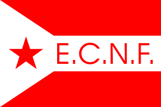 House Flag of ECNF de João Luís da Silva