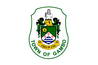 Flag of Gambo, Newfoundland