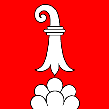 [Flag of Delémont district]