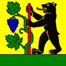 [Flag of Berneck]