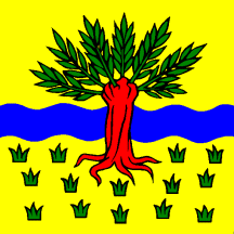 [Flag of Widnau]