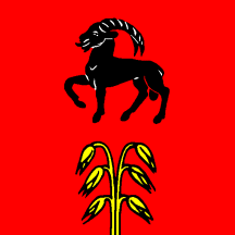 [Flag of Bidogno]