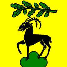 [Flag of Roveredo Capriasca]