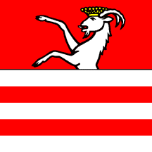 [Flag of Tesserete]