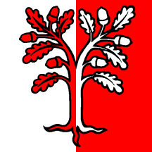 [Flag of Davesco-Soragno]