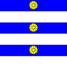 [Flag of Borex]