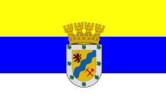 [Ovalle flag with coat of arms]