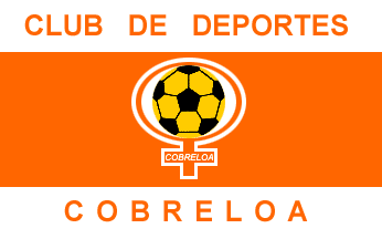 [Club de Deportes Cobreloa flag]