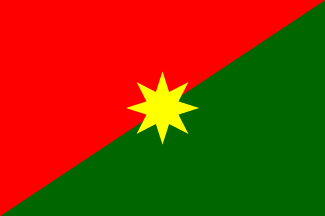 Flag of CASANARE