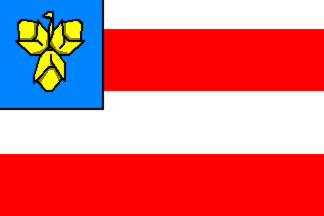 [Novy Liskovcec flag]