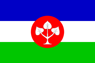[Chotýsany municipality flag]