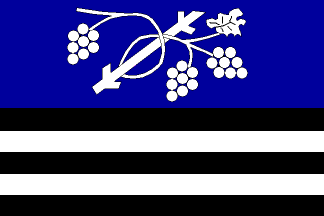 [Dolní Bojanovice flag]