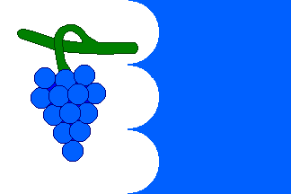[Násedlovice municipality flag]