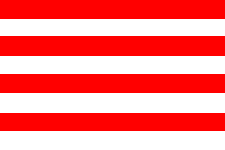 [Klatovy city other flag]