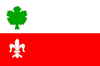 [Bordovice flag]