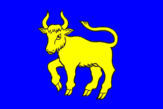 [Markvartovice flag]