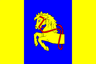 [Borotín flag]