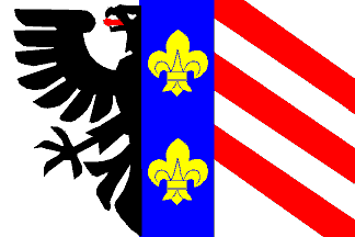 [Brankovice flag]