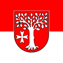 [Esterwegen municipal flag]
