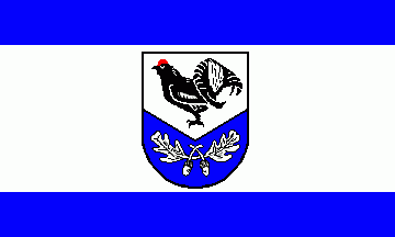 [Wesendorf flag]