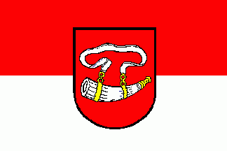 [Godshorn borough flag]