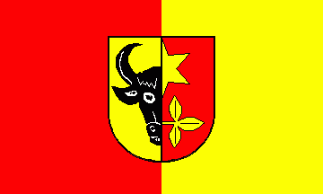 [Brüel city flag]