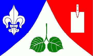 [Negenharrie municipal flag]