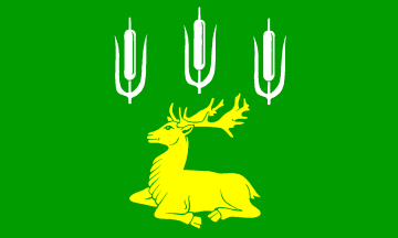 [Haßmoor municipal flag]