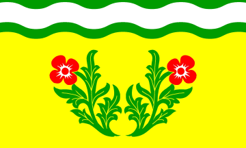 [Blumenthal municipal flag]