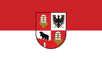 [Salzland County flag]