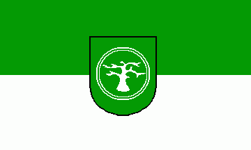 [Dohren municipal flag]