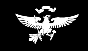 [German Youth Regimental Flag (NSDAP, Germany), variant?]