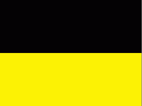 [Civil Flag Saxe-Altenburg pre 1832]