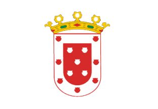 Flag of Santiago de los Caballeros