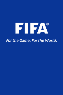 [FIFA vertical-hanging flag.]