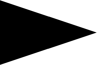 [Black beach flag]
