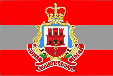 United Kingdom Army Regimental and Unit Flags