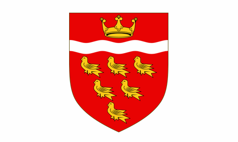 [Flag of East Sussex, England]