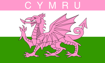 [Pink Welsh Flag]