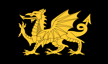 [Golden Dragon Flag]