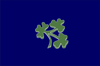 [Irish flag]