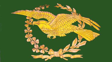 [unidentified Irish eagle flag]