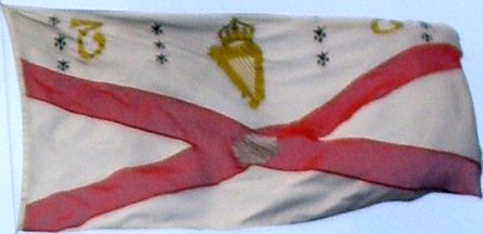 [Royal College of Surgeons in Ireland flag]