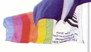 [1987 Pan American Games Organizing Committee flag]